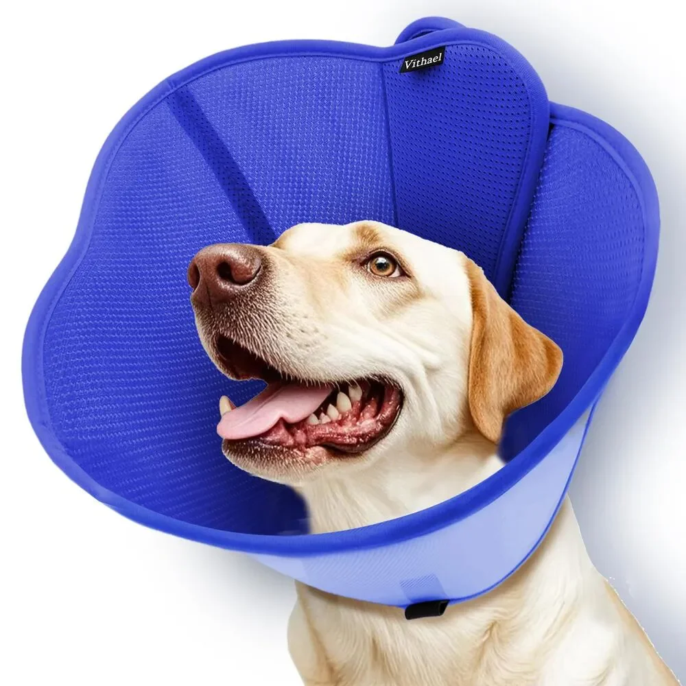 Pet Recovery Dog Cone Collar w/ Breathable Double-Layer Design (L, Blue)